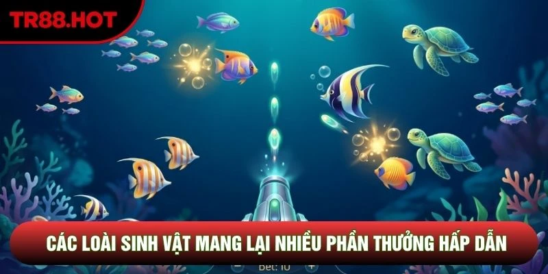 Các loài sinh vật mang lại nhiều phần thưởng hấp dẫn