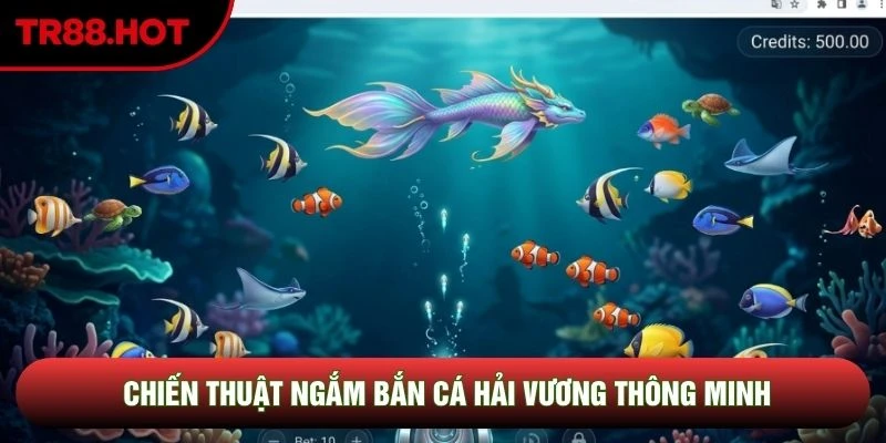 Chiến thuật ngắm bắn cá Hải Vương thông minh