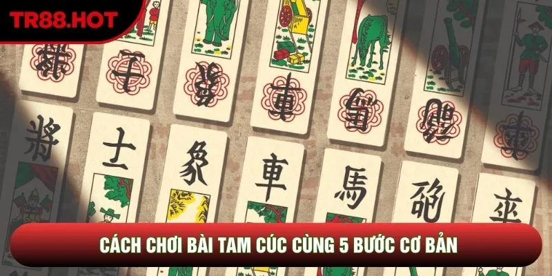Cách Chơi Bài Tam Cúc Cùng 5 Bước Cơ Bản Dành Cho Newbie