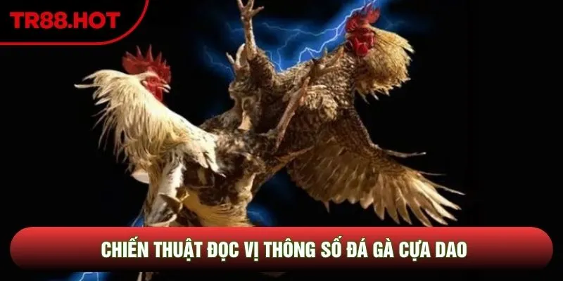 Chiến thuật đọc vị thông số đá gà cựa dao