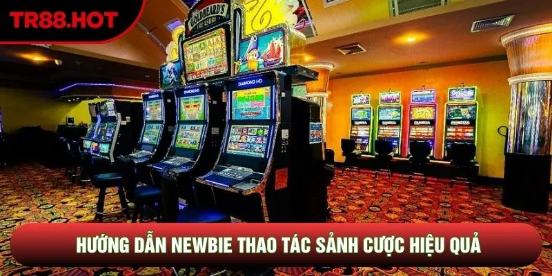 Hướng dẫn newbie thao tác sảnh cược hiệu quả