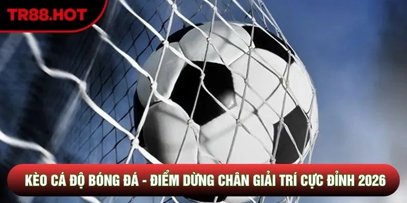 Kèo Cá Độ Bóng Đá - Điểm Dừng Chân Giải Trí Cực Đỉnh 2026
