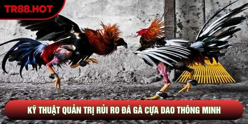 Kỹ thuật quản trị rủi ro đá gà cựa dao thông minh 