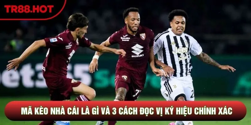 Mã Kèo Nhà Cái Là Gì Và 3 Cách Đọc Vị Ký Hiệu Chính Xác
