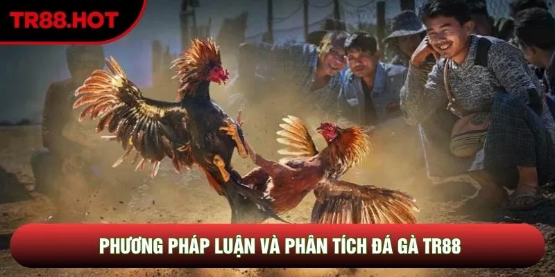 Phương pháp luận và phân tích đá gà TR88