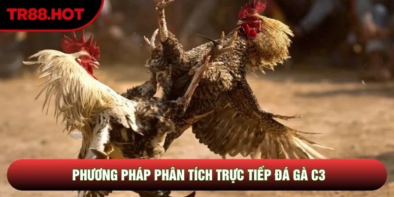 Phương pháp phân tích trực tiếp đá gà C3